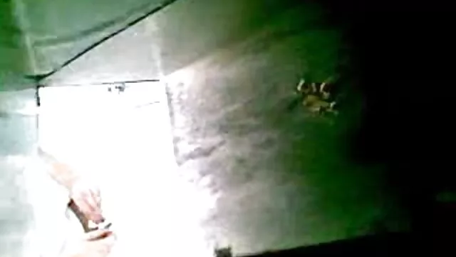 Jovencita follando con videos caseros latinos porno su novio en casa