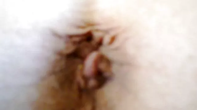 incertin xxx hd latino COÑO anal