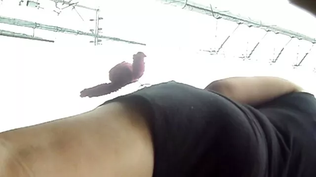 Misty montó duro y se puso mojado video porno casero latino