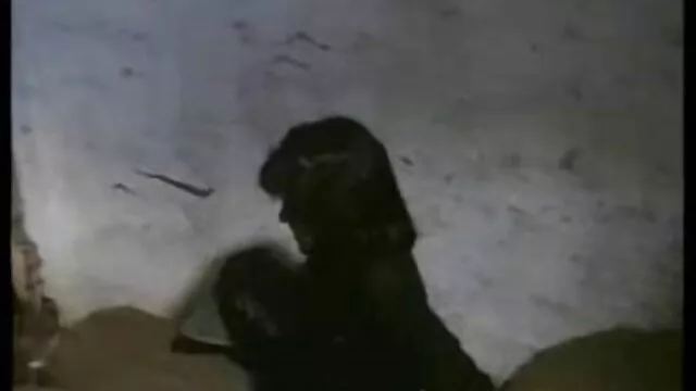 Follando con una chica que porno en vivo latino conocí en Xhamster ¡¡Gracias !!